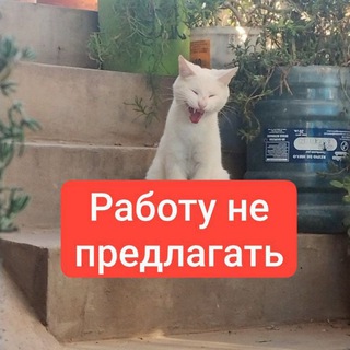 Логотип @sahranenachkeeeeeee - Цитадельные комментарии