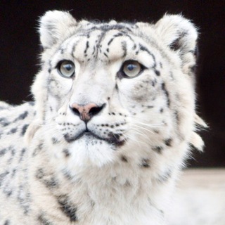 Логотип @sailugem - Сайлюгемский нацпарк