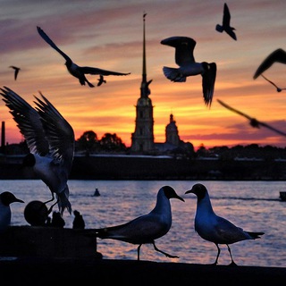 Логотип @saint_petersburg178 - s.p.b178