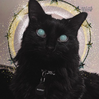Логотип @saintpaw - saint meow