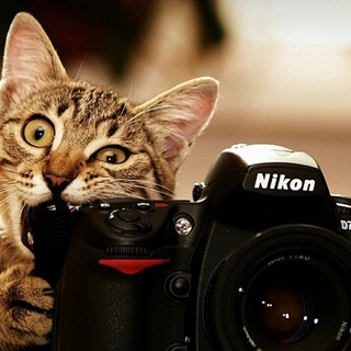 Логотип @sakhalin_photo_chat - Группа для фотографов | Сахалин