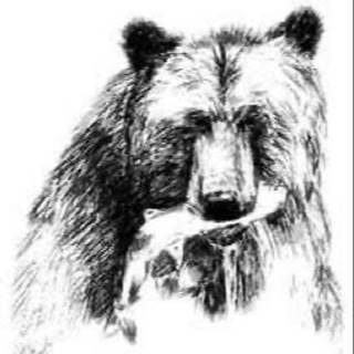 Логотип @sakhalin_stories - Сахалинские истории.