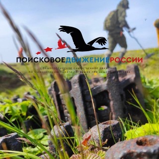 Логотип @sakhpoisk65 - Поисковое движение России - Сахалин