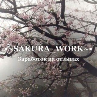 Логотип @sakurawork - •~SAKURA_WORK~•