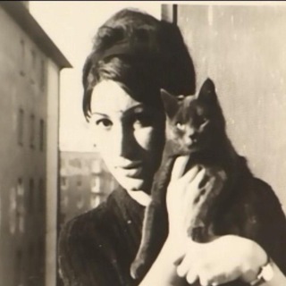 Логотип @salaamcinema - Salaam Cinema