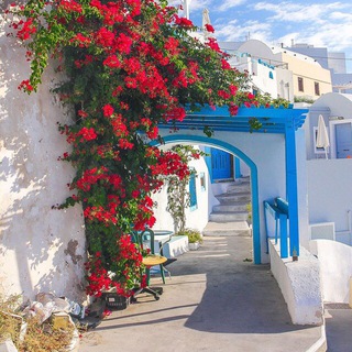 Логотип @salafitalk - When East Meets West - عندما يلتقي أهل الشرق بأهل الغرب