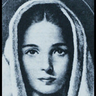 Логотип @salaminicrudi - tales ex Italico-Catholicis