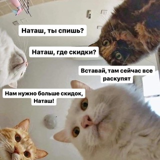 Логотип @sale_nahodki - Скидки / Находки