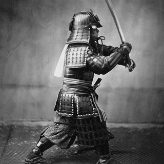 Логотип @salemetracking - Факультет продаж