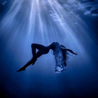 Логотип @salferr - Salvatoreferragamo