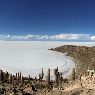 Логотип @saltiestsalt - Самая солёная соль