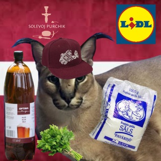 Логотип @saltpurchik - Soлевой Пурчик