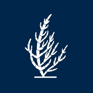 Логотип @saltwaystore - Шлях, позначений сіллю | крамниця подарунків