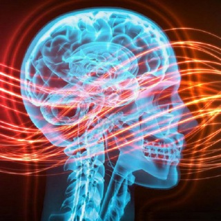 Логотип @saluteelettromagnetica - SALUTE ELETTROMAGNETICA