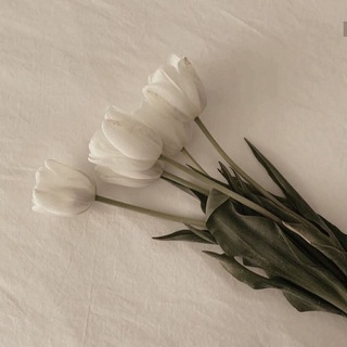 Логотип @salyafitkaa - salyafitka