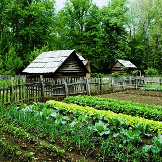 Логотип @sam_sebe_dachnik - САМ СЕБЕ ДАЧНИК