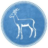 Логотип @samara_ud - Самара-Новости (дайджест)