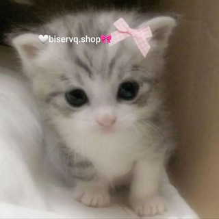 Логотип @samirean - 🤍biservq.shop🎀