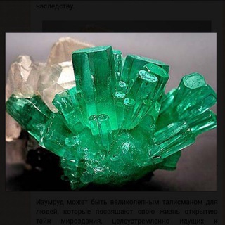 Логотип @samocvetynakuznetskom - САМОЦВЕТЫ НА КУЗНЕЦКОМ