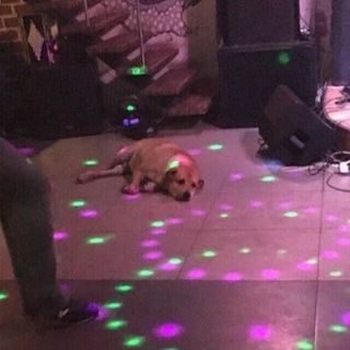 Логотип @samonerozchat - Самонерозвиток Chat