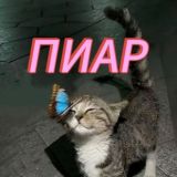 Логотип @samopiarhud - ПИАР ЧАТ ХУДОЖНИКОВ [Qwolity]