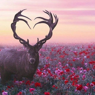 Логотип @sanatoriumbar - Санаторий 🌞