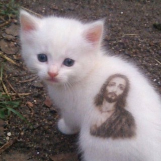 Логотип @sanctuarytg - святилище