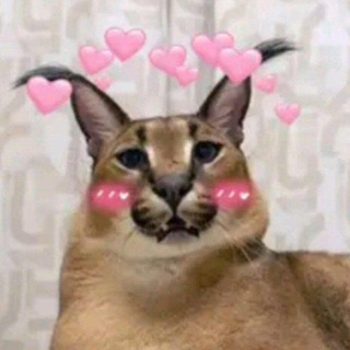 Логотип @sand_speak - Обсуждение песка