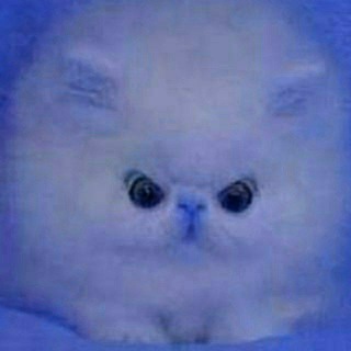 Логотип @sandylandik - ЧАТИК ЛЕГЕНД