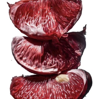 Логотип @sanguices - SANGUICES