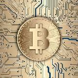 Логотип @sankt_peterburgz - Санкт-Петербург Сегодня