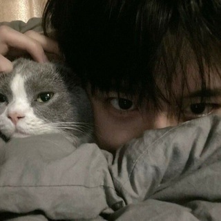 Логотип @santeall - канал закрыт