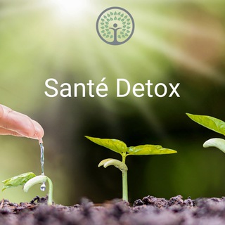 Логотип @santedetox - Santé Detox