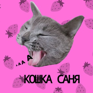 Логотип @sanya_lif - Супер кошка 💘