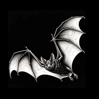Логотип @sapientiarossica - Sapientia Rossica