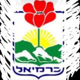 Логотип @saponnn - כרמיאלים