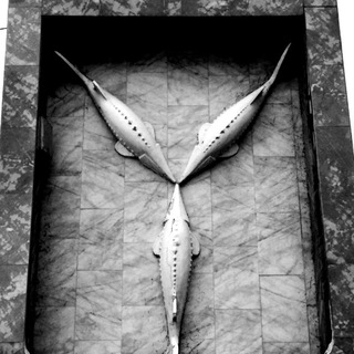 Логотип @saratov_realty - Realty