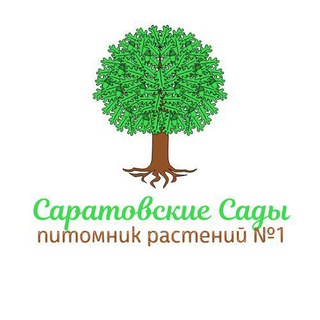 Логотип @sargarden64 - Питомник растений N1 Саратовские Сады