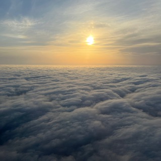 Логотип @sargo_otz - ОТЗЫВЫ @neity.m