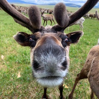 Логотип @sarkazmi_iz_zhizni - Сарказмы из жизни