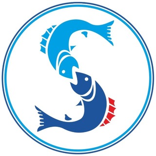 Логотип @sarsenbaev38 - Компания «Сарсенбаев»