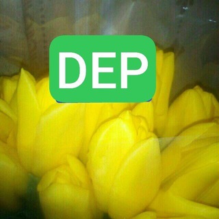 Логотип @sasanew_dep - @sasanew депозиты