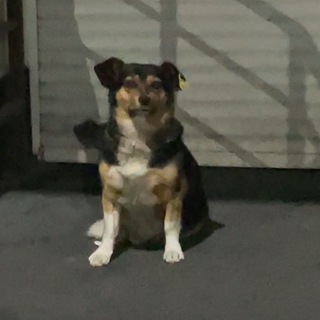 Логотип @sashaskazal - Саша напечатал