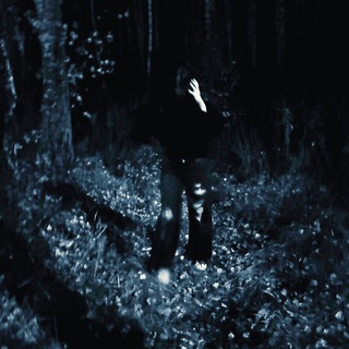 Логотип @sashatvd - сашаприкол