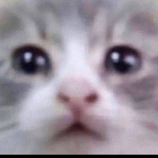 Логотип @satew00d - sateweedwowaaha