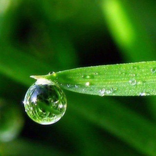 Логотип @sati_vi_vera - SATi_Vi_VЕRA