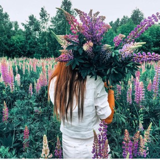 Логотип @saulik_kazan - САУЛЫК/ ЗОЖ