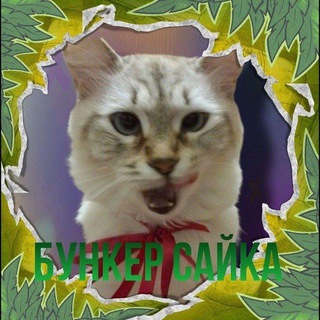 Логотип @savachkaaaa5 - "Бункер сайка" промокоды на стенд чилов