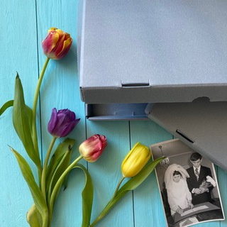 Логотип @save_heritage_chat - Save_heritage Chat