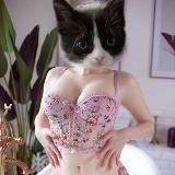 Логотип @savesht - Save ass /shit/